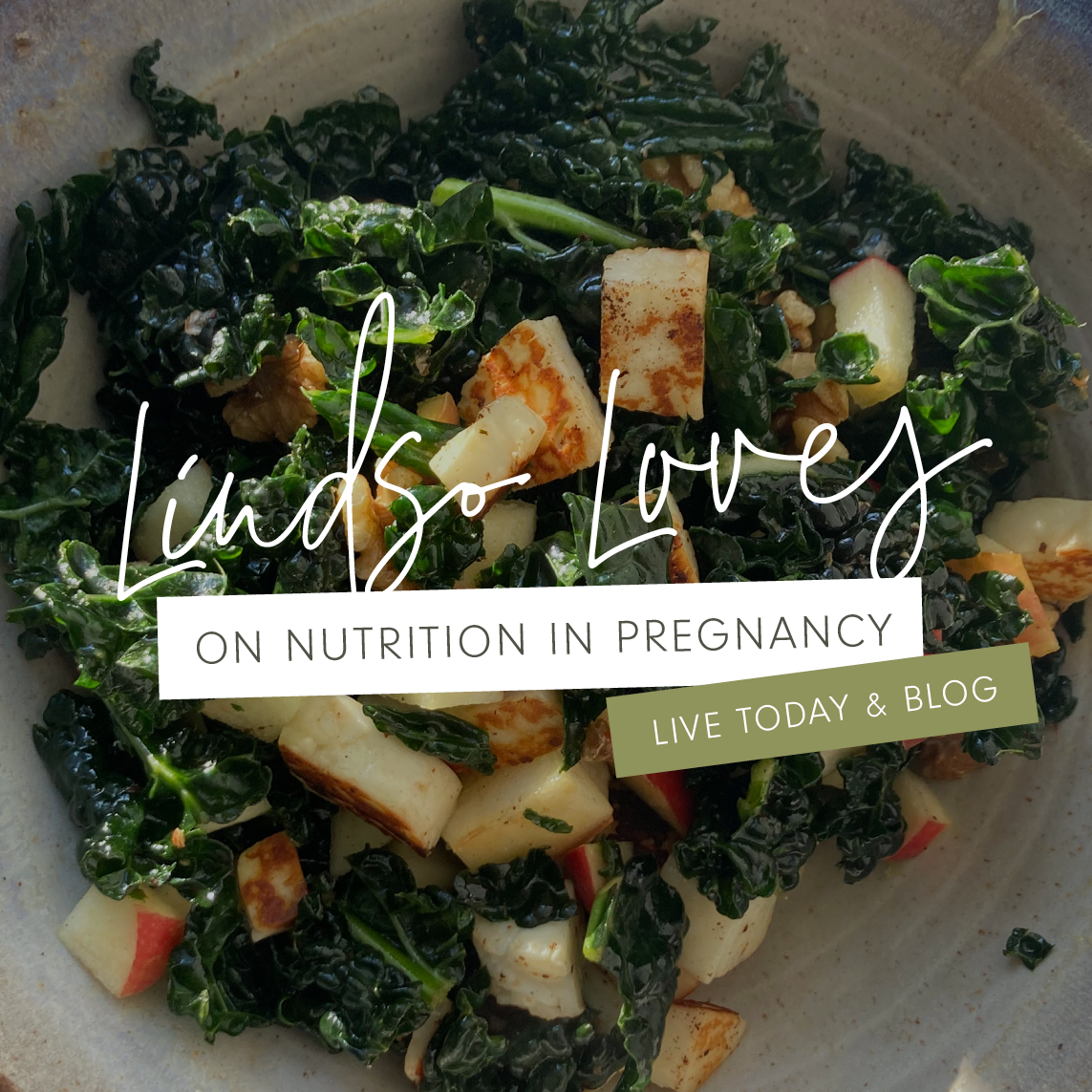 Nutrition in Pregnancy with Lindso Loves