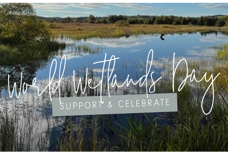 World Wetlands Day, Get The Little Ones Involved!