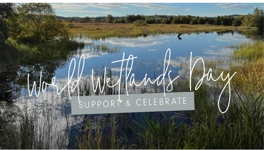 World Wetlands Day, Get The Little Ones Involved!