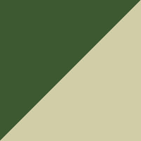  Apple Swatch