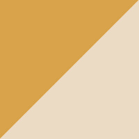  Star Swatch