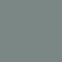  Flint Swatch