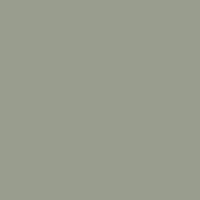  Olive Swatch
