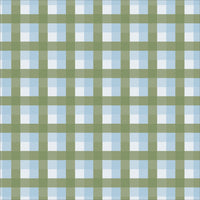  Greenhouse Gingham Swatch